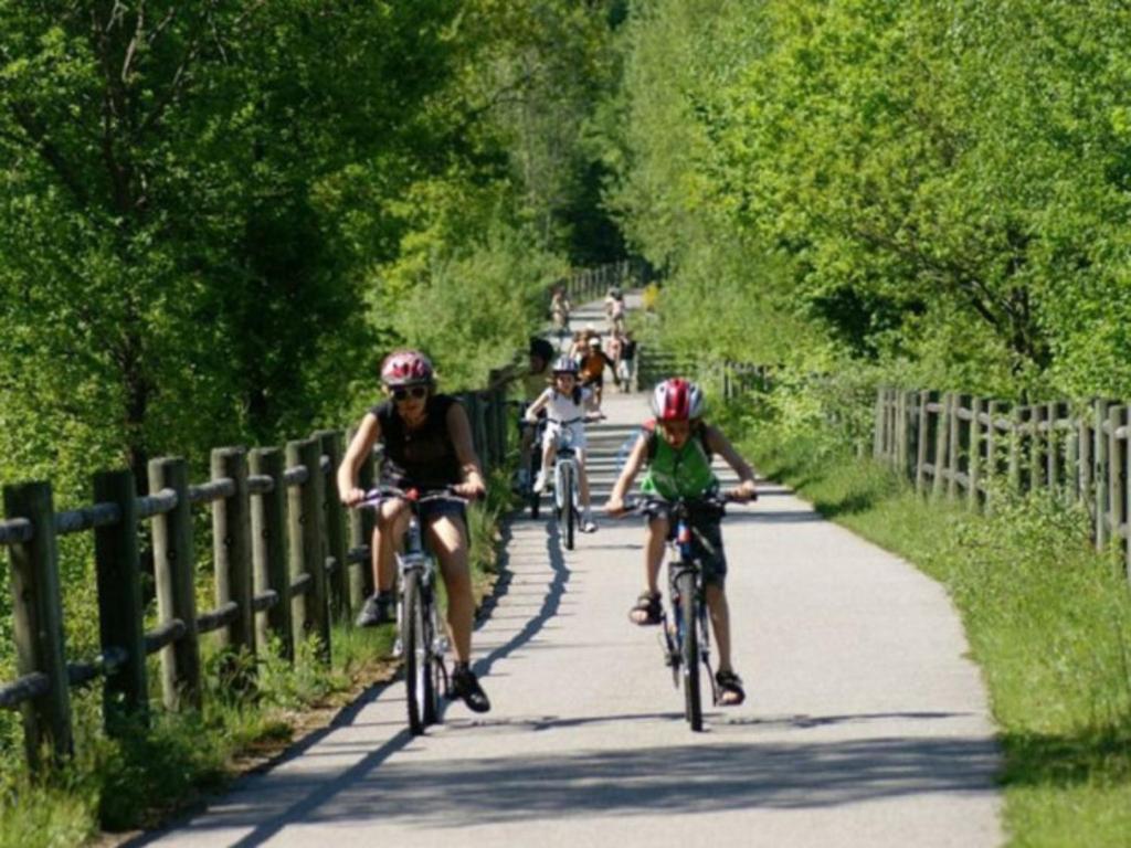 Gite De Grettery Saulxures-sur-Moselotte Bagian luar foto